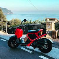 Honda Zoomer