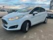 Ford Fiesta 1.5 TDCi 75CV 5 porte Titanium