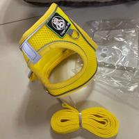 pettorina e guinzaglio xs