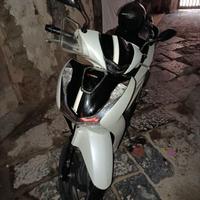 Sh 125 sport