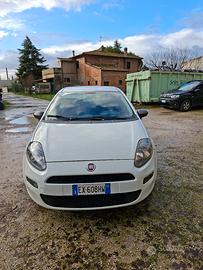 PUNTO YANG 