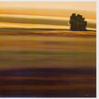 Stampa di Holman su cornice doppio vetro