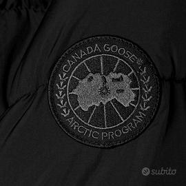 Canada goose 