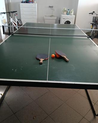 Tavolo da ping pong