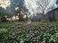 Immagine 17