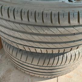 Gomme estive 
