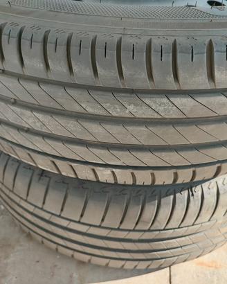 Gomme estive 