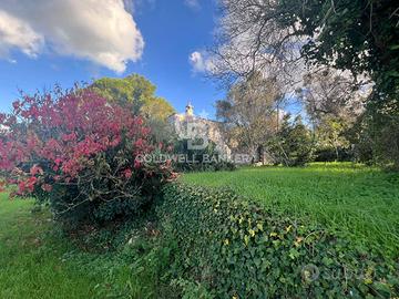 Terreno agricolo - Ostuni