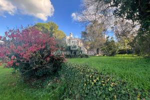 Terreno agricolo - Ostuni
