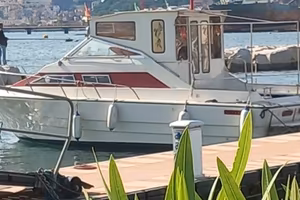 barca e motori