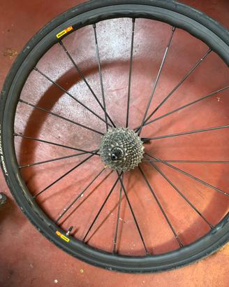 Ruote Bici da Corsa Mavic R-Sys SLR SSC (Exalith)