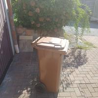 Bidone carrellato 120Lt  per raccolta differenziat