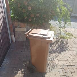 Bidone carrellato 120Lt  per raccolta differenziat