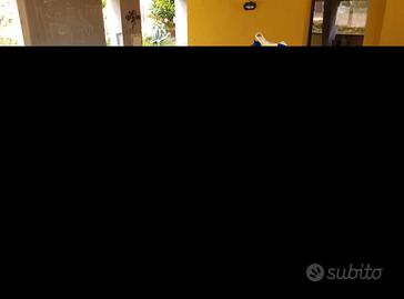 tm smr 450 carene, sella cassa filtro, display