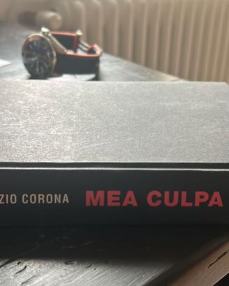Mea culpa 'Fabrizio Corona'