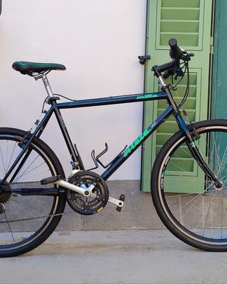 Mountain-bike adulto + accessori