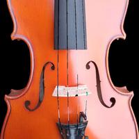 Violino Mario Gadda "originale"