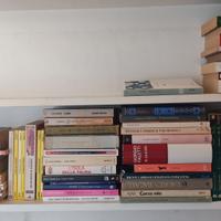 COLLEZIONE 70 ROMANZI FRA 0,50 E 3,00 EURO