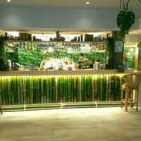 Bambù - canne di bambu - bamboo