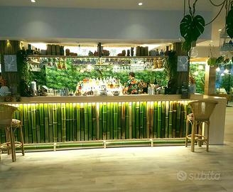 Bambù - canne di bambu - bamboo