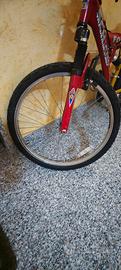 Mountain Bike F.lli Schiano Focus Hard – Ammorti

