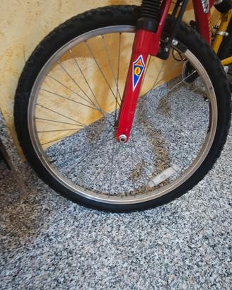 Mountain Bike F.lli Schiano Focus Hard – Ammorti

