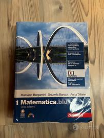 libro matematica.blu (terza edizione)