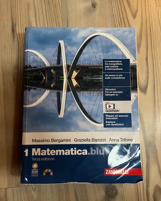 libro matematica.blu (terza edizione)