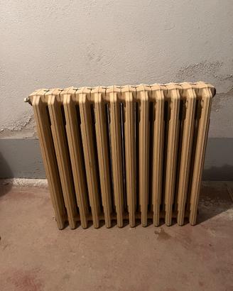 Termosifone in ghisa
