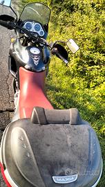 Aprilia Pegaso 650 Cube