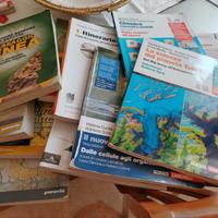 Libri scolastici Liceo Leonardo Brescia