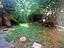 Immagine 12