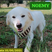 Noemi/ Terence 4anni e 1/2 ancora in attesa SUD