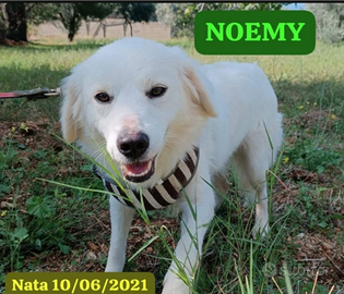 Noemi/ Terence 4anni e 1/2 ancora in attesa SUD