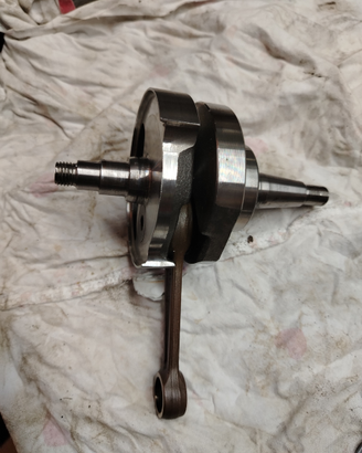 Albero vespa