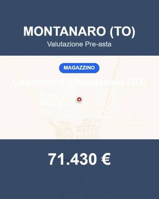 Immobile in asta di 10971 m² a Montanaro