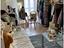 Immagine 24