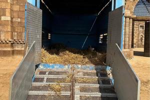 Iveco trasporto animali vivi