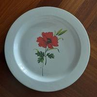 Piatti per cena fredda