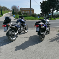 Suzuki xf freewind 650 iscritta FMI