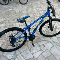 Mtb Rollmar