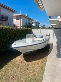 Barca con motore fuoribordo