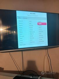 TV schermo piatto LG