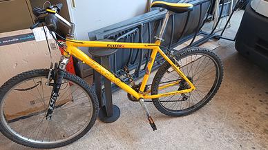 bicicletta mtb longoni bianchi specialized