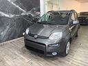 fiat-panda-1-0-firefly-s-s-hybrid-aziendale-km-0-p