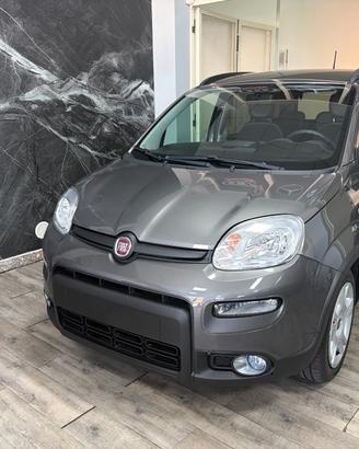Fiat Panda 1.0 FireFly S&S Hybrid AZIENDALE KM 0 P