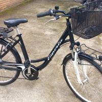 biciclette elettriche 