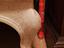 Immagine 6