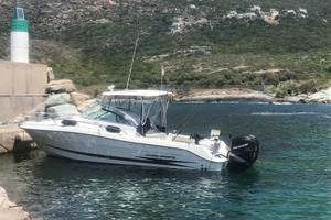 Hydra-Sports 2900 Vector anno 2007