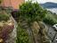Immagine 27